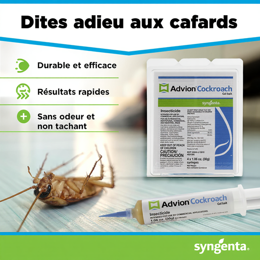Gel Anti-Cafards Advion – Solution Rapide et Efficace