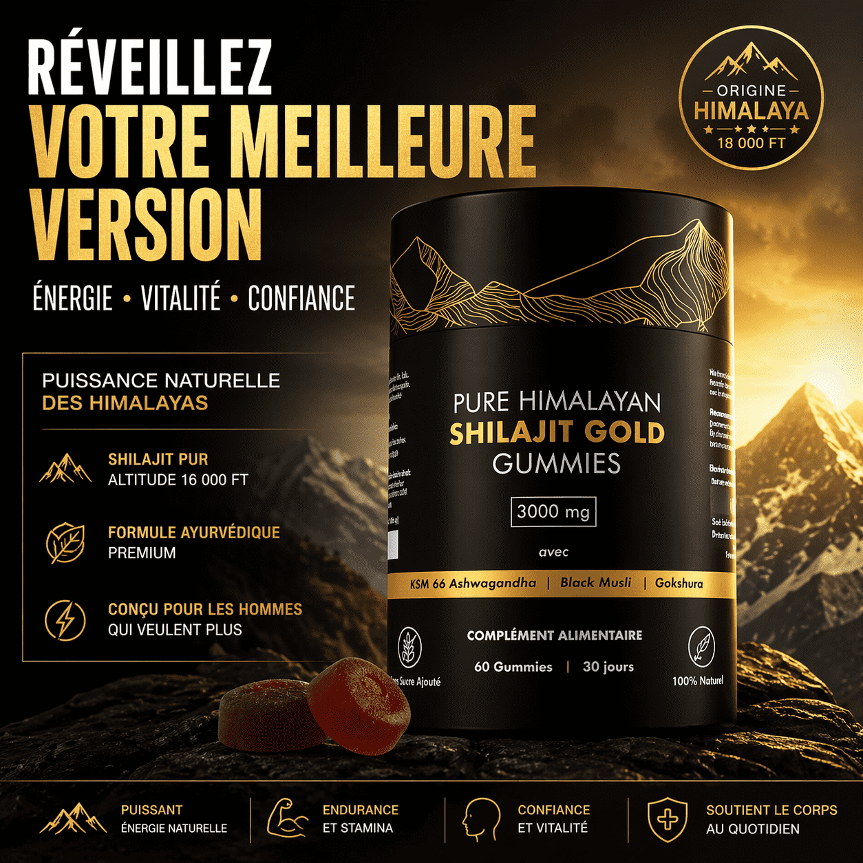 Shilajit Gold Gummies 3000mg – 60 Gummies