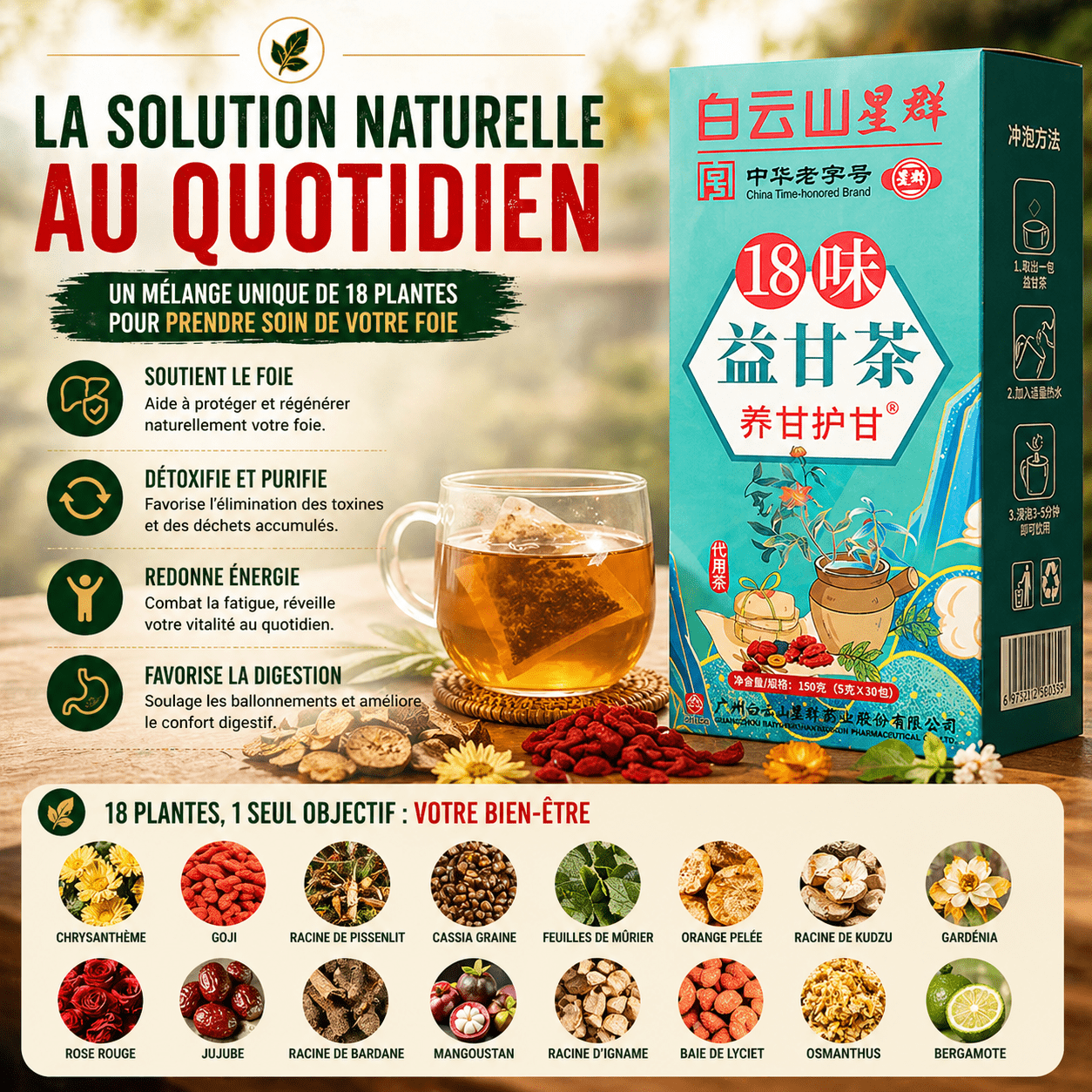 Thé Naturel Détox Quotidien – 18 Plantes