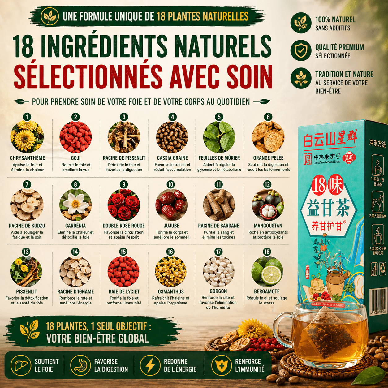 Thé Naturel Détox Quotidien – 18 Plantes