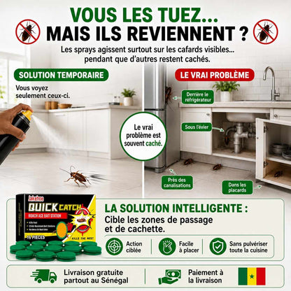 Stations Anti-Cafards Quick Catch – 16 Pièces + 2 Pièges Offerts