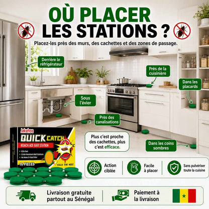 Stations Anti-Cafards Quick Catch – 16 Pièces + 2 Pièges Offerts