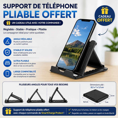 Protecteur de Batterie USB-C – Déconnexion Automatique