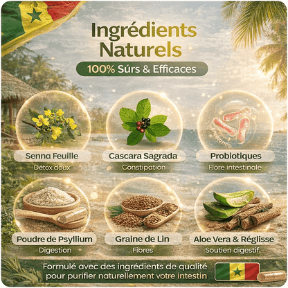 Cure 15 Jours – Confort Digestif & Transit (30 gélules)