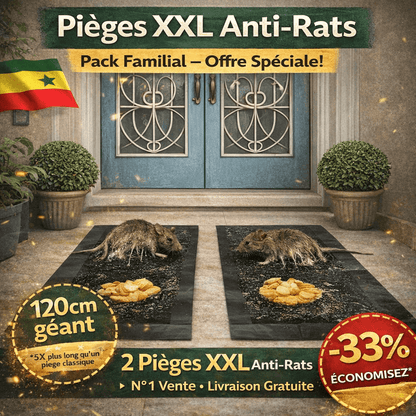 Pièges Anti-Rats - Protection Maison XXL