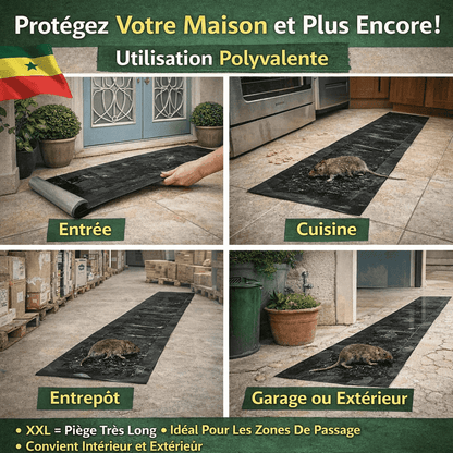 Pièges Anti-Rats - Protection Maison XXL