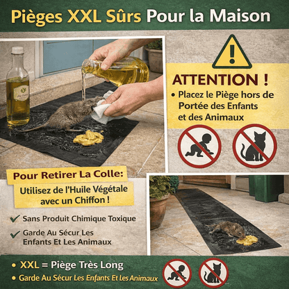 Pièges Anti-Rats - Protection Maison XXL